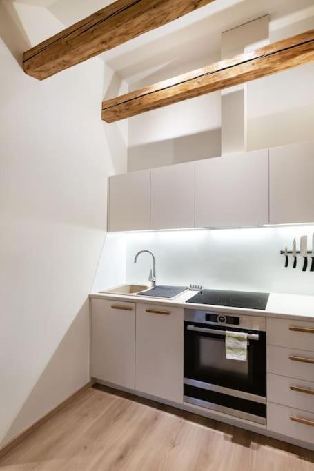 Luxury Apartment In Gedimino Av. VNO Exteriör bild